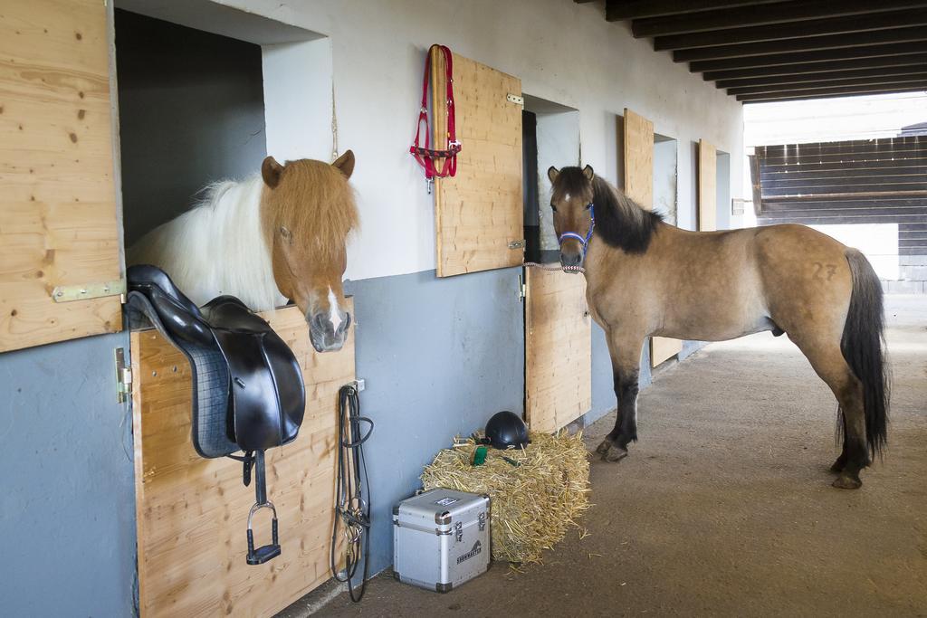 Reitzentrum Hausruckhof Ampflwang im Hausruckwald