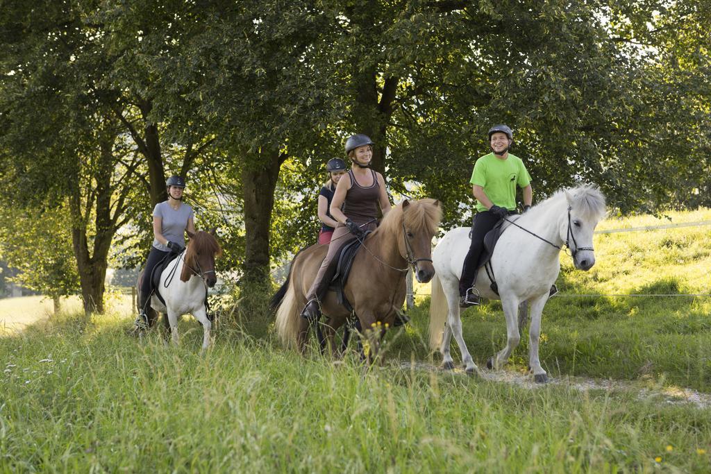 Reitzentrum Hausruckhof Hotel Ampflwang im Hausruckwald